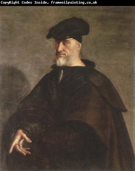 Sebastiano del Piombo portrait of andrea doria